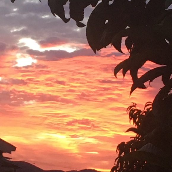 Meet your Posher ๐ด๐๐ป - Picture 15 of 16